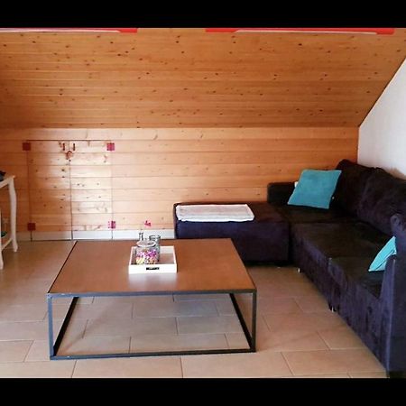 Groot Appartement Nabij Brugge Met Eigen Badkamer! 담 외부 사진